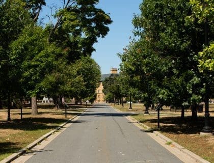 Road with Trees in Lawrence MA