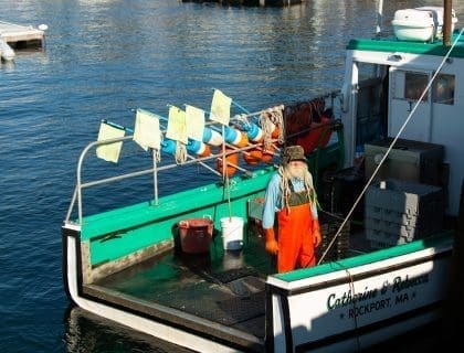 Lobster Fisherman on his Green and White Lobster Boat in the Water in Rockport MA