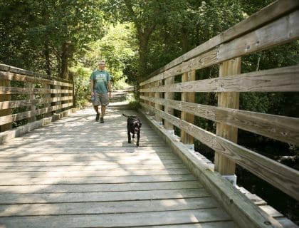 Man Walking with Dog on a Wooden Bridge in Ipswich MA