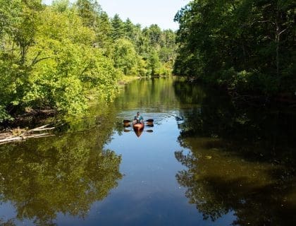 Woman Kayaking in the Middle of Ipswich River