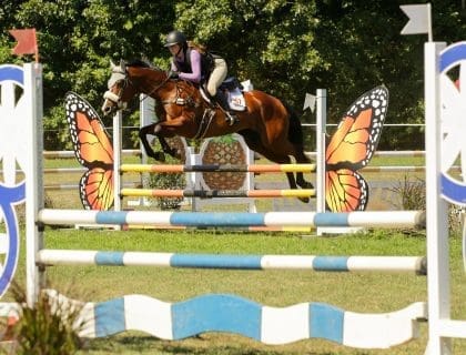 Equestrian and Sport Horse During a Polo Match in Hamilton MA