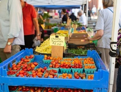 Close up of fresh red cherry tomatoes for sale with other produce in the background at the busy Farmer's Market at Derby Square in Salem MA