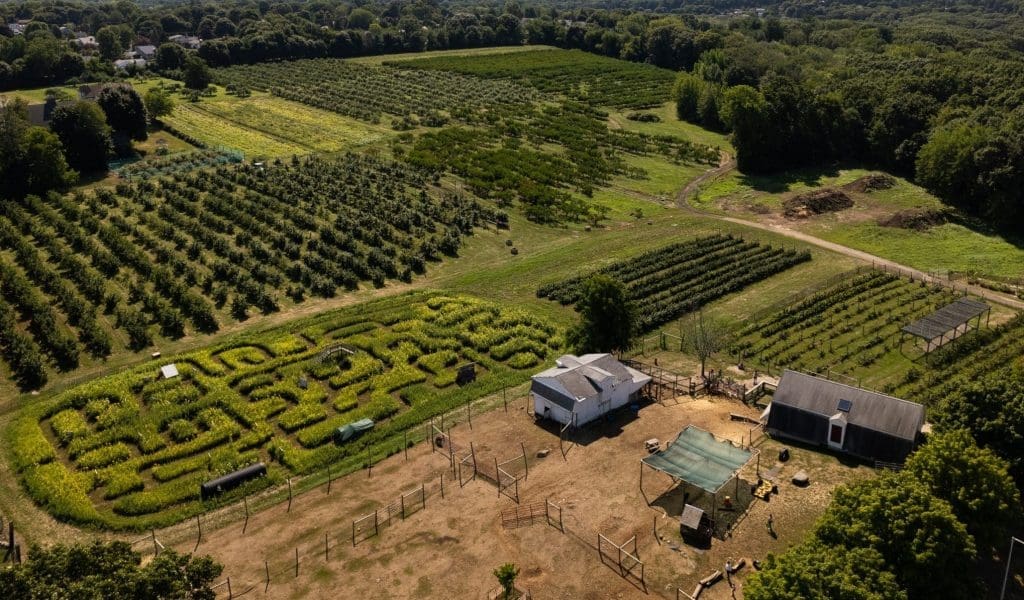 Sky View of Brooksby Farm including Corn Maze in Peabody MA