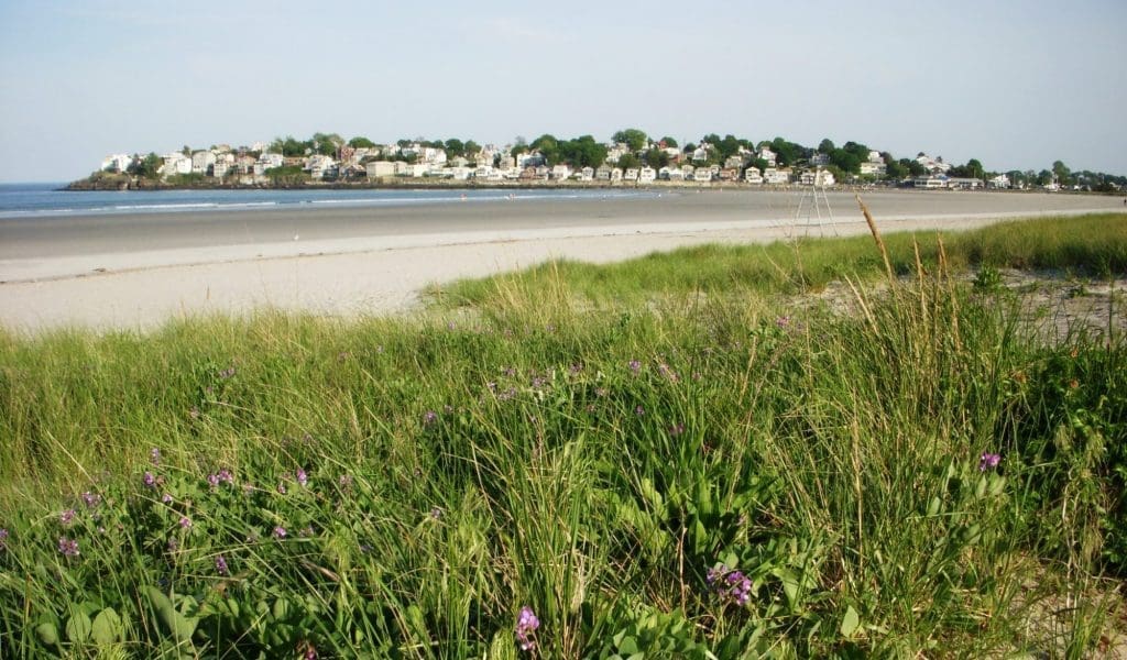 Nahant Beach MA