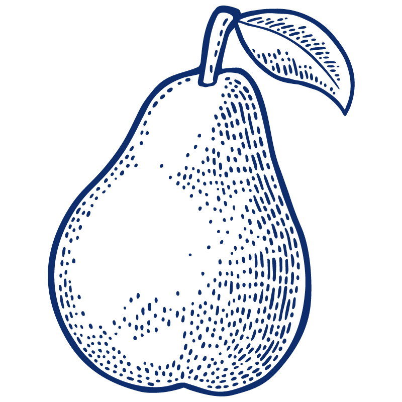 Pear graphic in navy