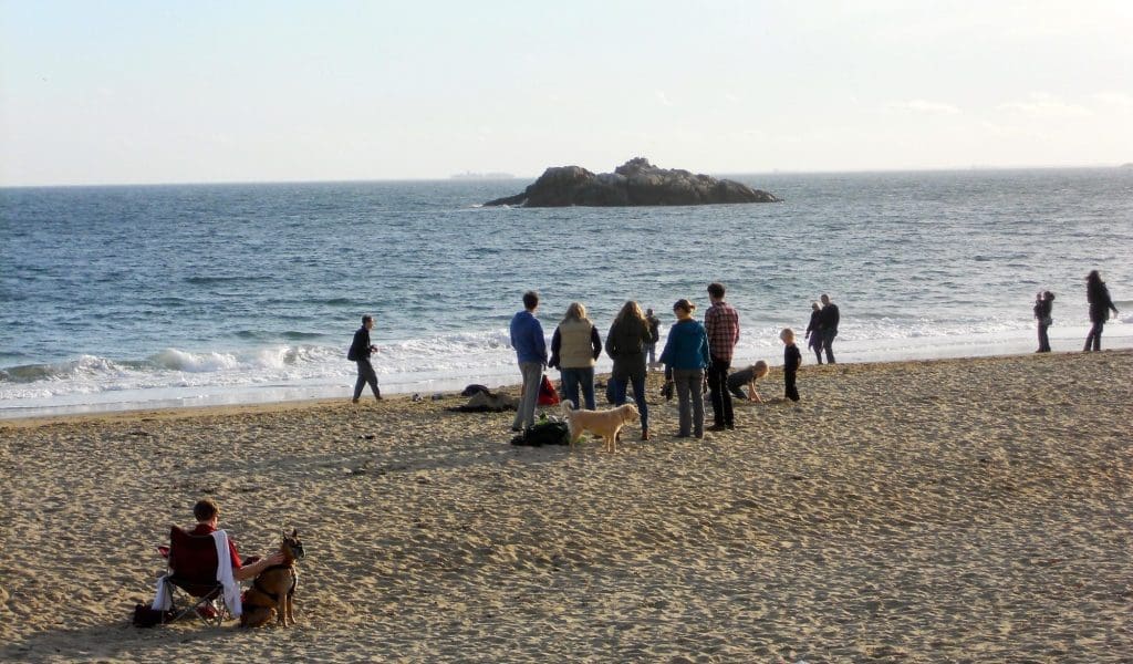 People Enjoying the Beach in Manchester by the Sea