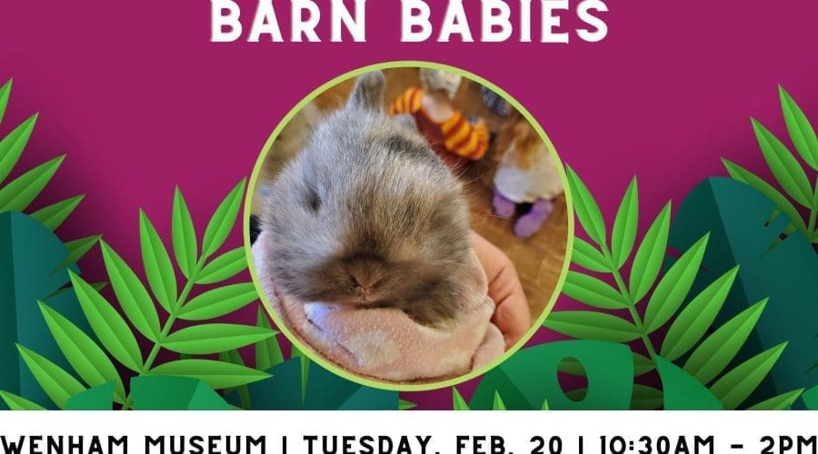 https://cpiofullstackpoc-sitetest.sperlingdev.com/wp-content/uploads/2024/03/Barn-Babies-msprlc.tmp_.jpg