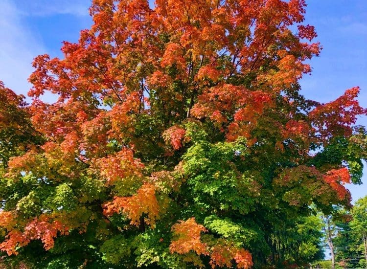 Spreading out from Salem for Fall Fun