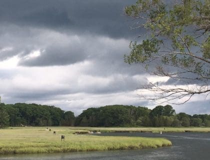 The marshes in Essex, MA on a cloudy day