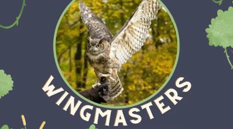 https://cpiofullstackpoc-sitetest.sperlingdev.com/wp-content/uploads/2024/12/Wingmasters.jpg