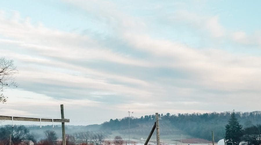 https://cpiofullstackpoc-sitetest.sperlingdev.com/wp-content/uploads/2025/01/Winter-Walking-Tour.jpg