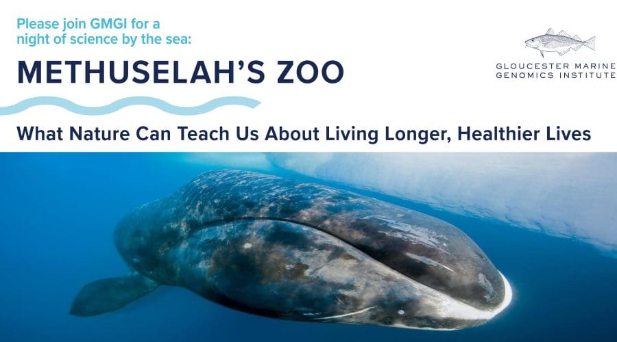https://cpiofullstackpoc-sitetest.sperlingdev.com/wp-content/uploads/2025/05/Science-by-the-Sea-Lecture-Banner-scaled.jpg