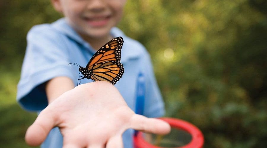 https://cpiofullstackpoc-sitetest.sperlingdev.com/wp-content/uploads/2025/05/butterflydetectives.jpg