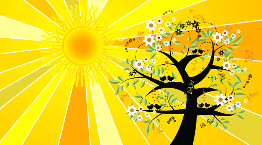 https://cpiofullstackpoc-sitetest.sperlingdev.com/wp-content/uploads/2025/05/summersolsticeyoga.png